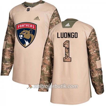 Män Ishockey Florida Panthers Tröja Roberto Luongo 1 Adidas 2017-2018 Camo Veterans Day Practice Authentic